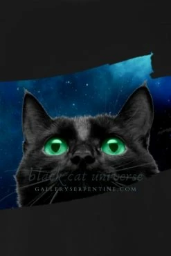 Gallery Serpentine Black Cat Universe - Women's T-shirt