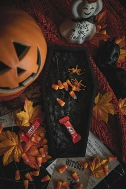 LIVELY GHOSTS Velvet Coffin Trinket Box [BLACK]