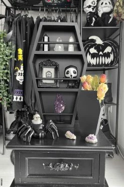 Catalyst Coffin Makeup Organizer Set 14 Catalyst Coffin Makeup Organizer Set -AKUMU INK shop Coffin Organizer