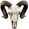 Pacific Giftware Ram Skull -AKUMU INK shop Front fea2cd2b 6c40 4cb6 84ad 3705c53cb798