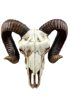 Pacific Giftware Ram Skull