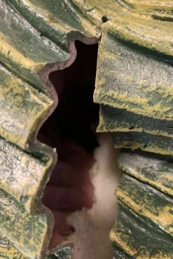 TRICK OR TREAT STUDIOS Ghoulies II: Fish Ghoulie Movie Prop -AKUMU INK shop Goth Puppet