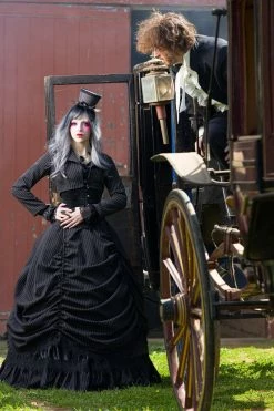 Gallery Serpentine Pinstripe Victorian Wedding Dress