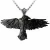 Alchemy Black Raven Necklace -AKUMU INK shop P193 81017.1529649188.1280.1280