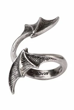 Alchemy A Night With Goethe Ring -AKUMU INK shop R244 V3 17098.1630710784.1280.1280