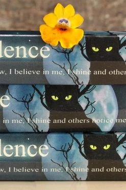 Pacific Giftware Confidence Spell Incense -AKUMU INK shop dfdgd