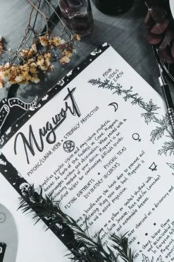 KILLSTAR Ghoul School Craft Tape -AKUMU INK shop dffgergr