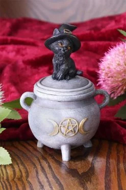 Pacific Giftware Black Cat Cauldron Box