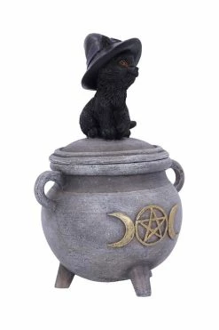 Pacific Giftware Black Cat Cauldron Box -AKUMU INK shop ewererretdgdf
