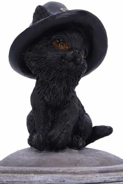 Pacific Giftware Black Cat Cauldron Box -AKUMU INK shop fdsfdgsdgsfgfdgd