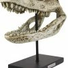Pacific Giftware Aged Alligator Skull Replica -AKUMU INK shop gdfdf f66f8c62 3c28 4ae3 8381 5ebe35b0e650