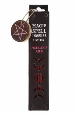 Pacific Giftware Magic Spell Friendship Incense Sticks
