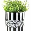 SOURPUSS Poison Plant Container -AKUMU INK shop planter poison