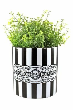 SOURPUSS Poison Plant Container