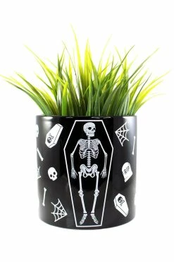 SOURPUSS Skeleton Plant Container