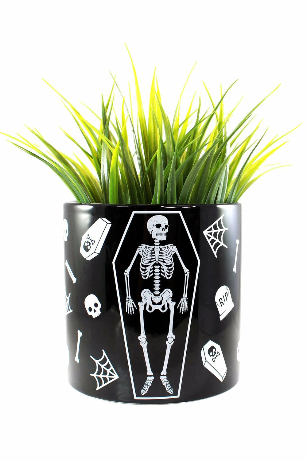 SOURPUSS Skeleton Plant Container 3 SOURPUSS Skeleton Plant Container