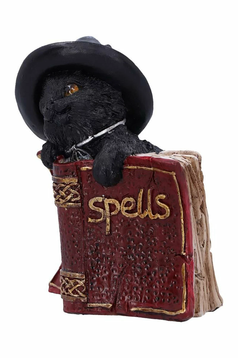 NEMESIS NOW Kitty's Grimoire Spellbook Statue 5 NEMESIS NOW Kitty's Grimoire Spellbook Statue - Image 3