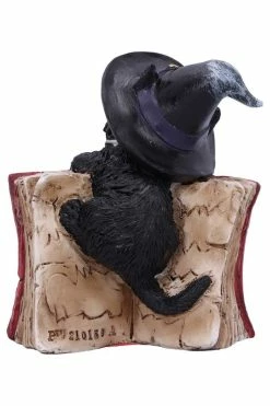 NEMESIS NOW Kitty's Grimoire Spellbook Statue 13 NEMESIS NOW Kitty's Grimoire Spellbook Statue -AKUMU INK shop u5711u1 3