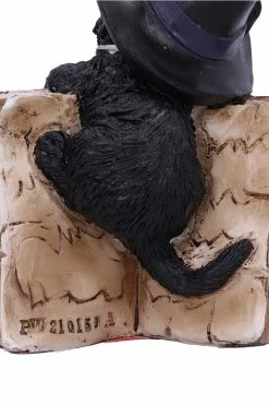 NEMESIS NOW Kitty's Grimoire Spellbook Statue 17 NEMESIS NOW Kitty's Grimoire Spellbook Statue -AKUMU INK shop u5711u1 5