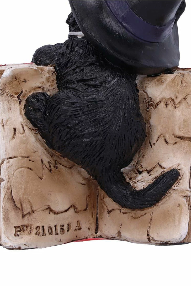 NEMESIS NOW Kitty's Grimoire Spellbook Statue 10 NEMESIS NOW Kitty's Grimoire Spellbook Statue - Image 8