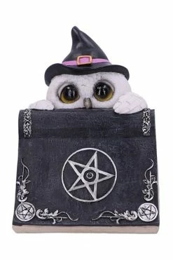 NEMESIS NOW Owl's Spell Statue