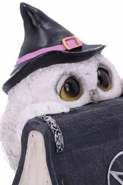 NEMESIS NOW Owl's Spell Statue -AKUMU INK shop u5843u1 4copy