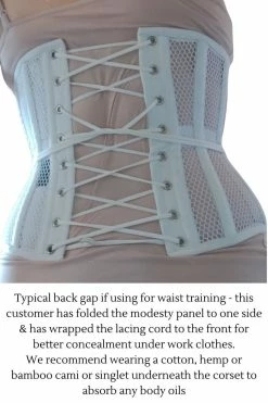 Gallery Serpentine Undercover Angel White Mesh Corset -AKUMU INK shop undercoverangelbackviewwithtext