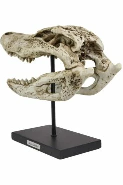 Pacific Giftware Aged Alligator Skull Replica 11 Pacific Giftware Aged Alligator Skull Replica -AKUMU INK shop xgdgdfg